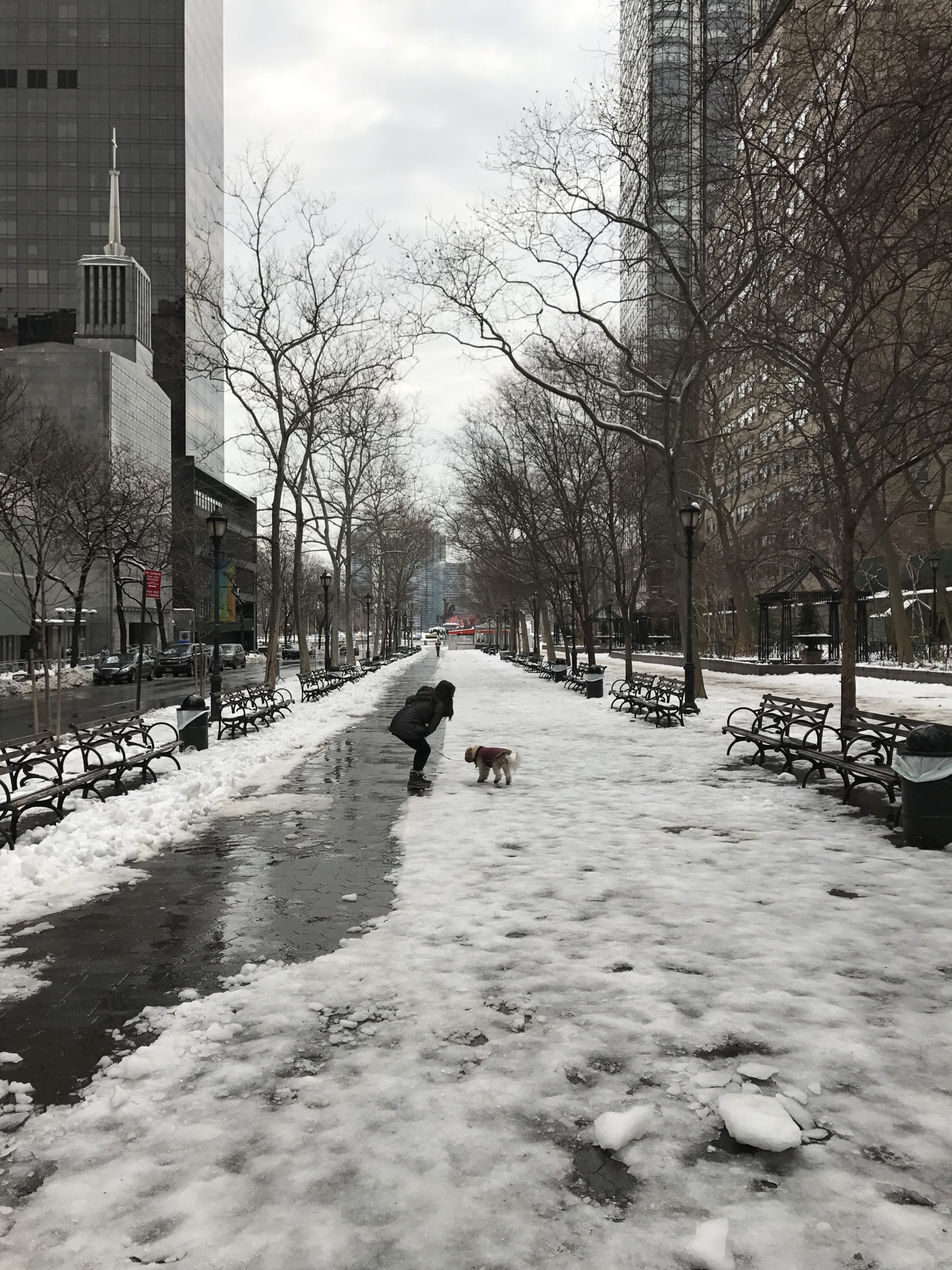 O Branco e a neve